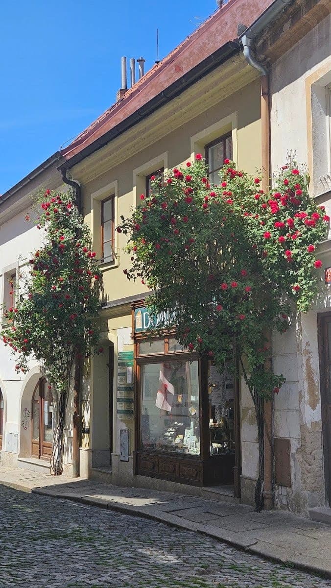 Stomatologie Drlíčov — Písek