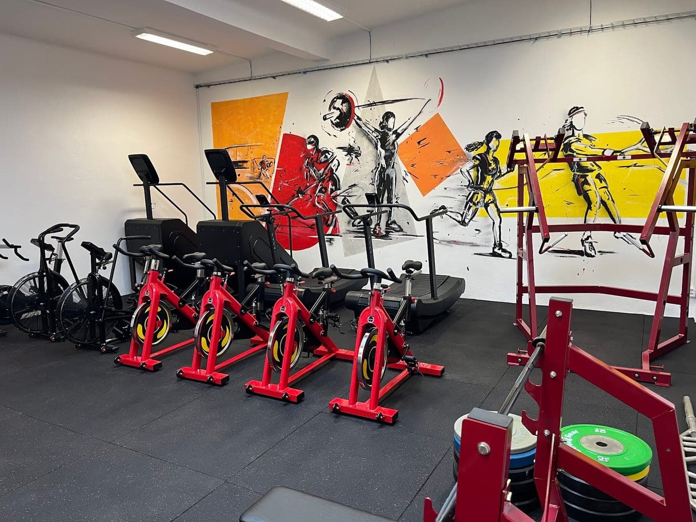 PowerGym — pohled 3