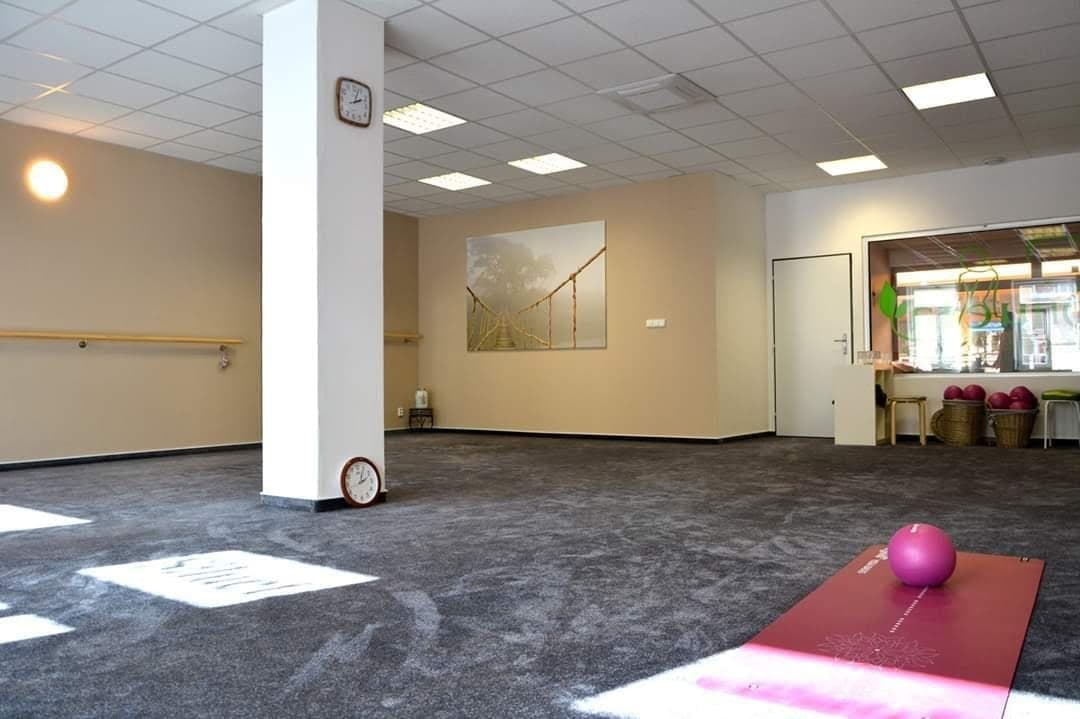 Silueta fitness — Písek