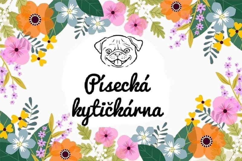 Písecká kytičkárna / Rozvoz květin — Písek
