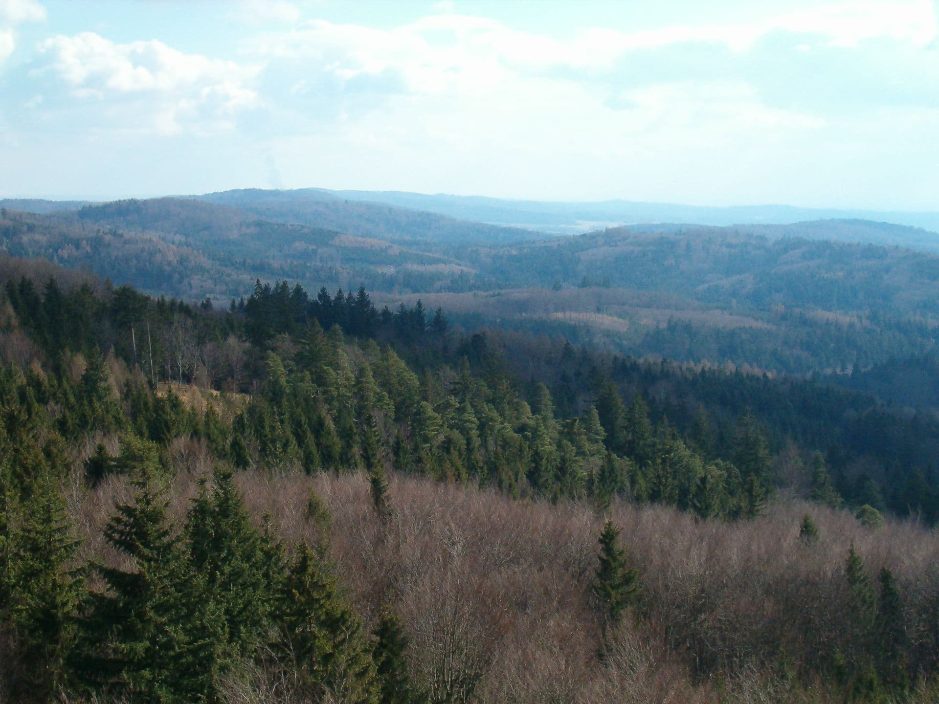 Pohled na zalesněné hřbety Píseckých hor
